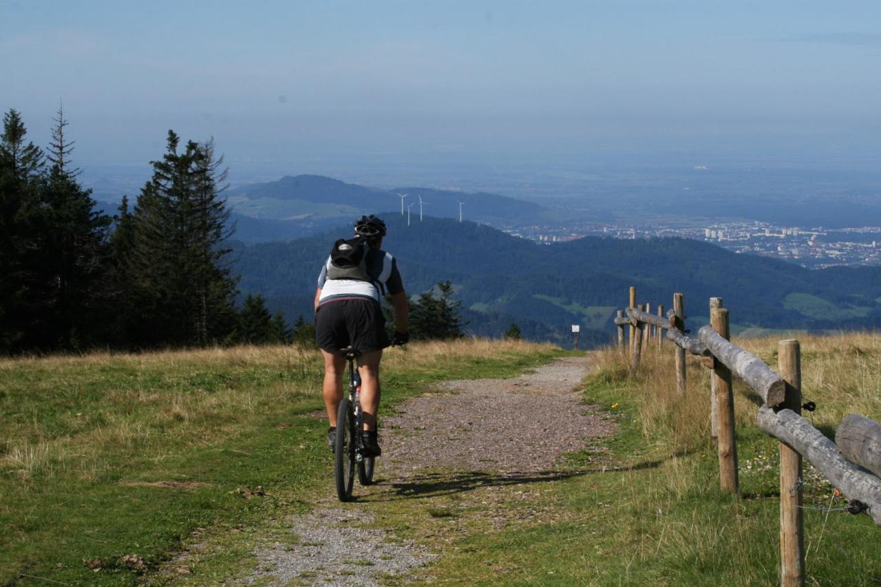 Berghaus Freiburg - Appartement Hotel Auf Dem Schauinsland 오베리드 외부 사진